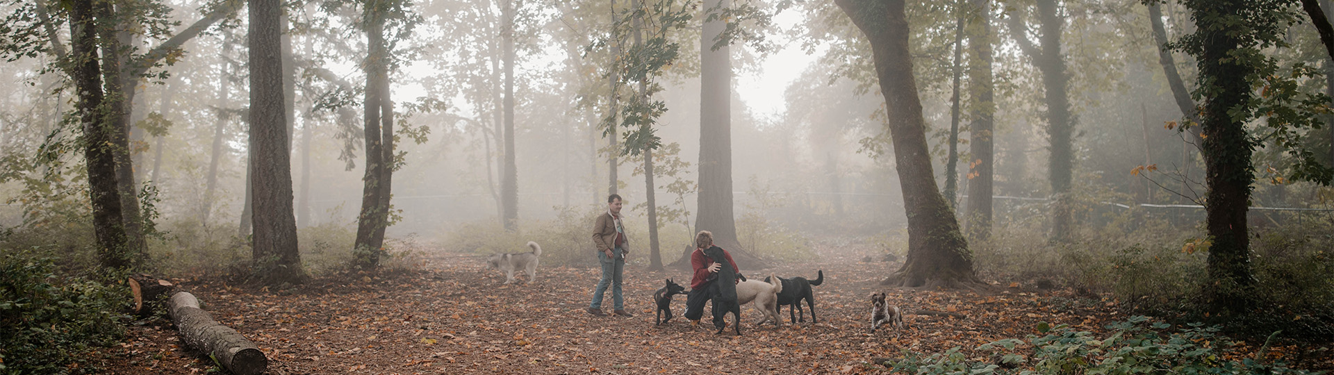 Dog Boarding Near Portland